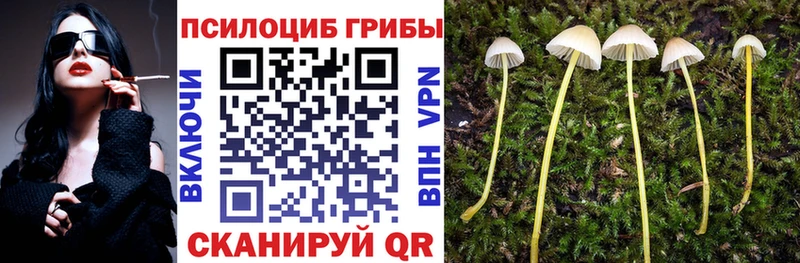 Галлюциногенные грибы Magic Shrooms  Вольск 