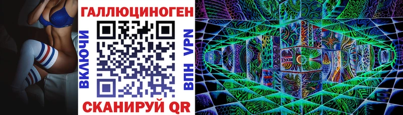 Галлюциногенные грибы Psilocybe Вольск